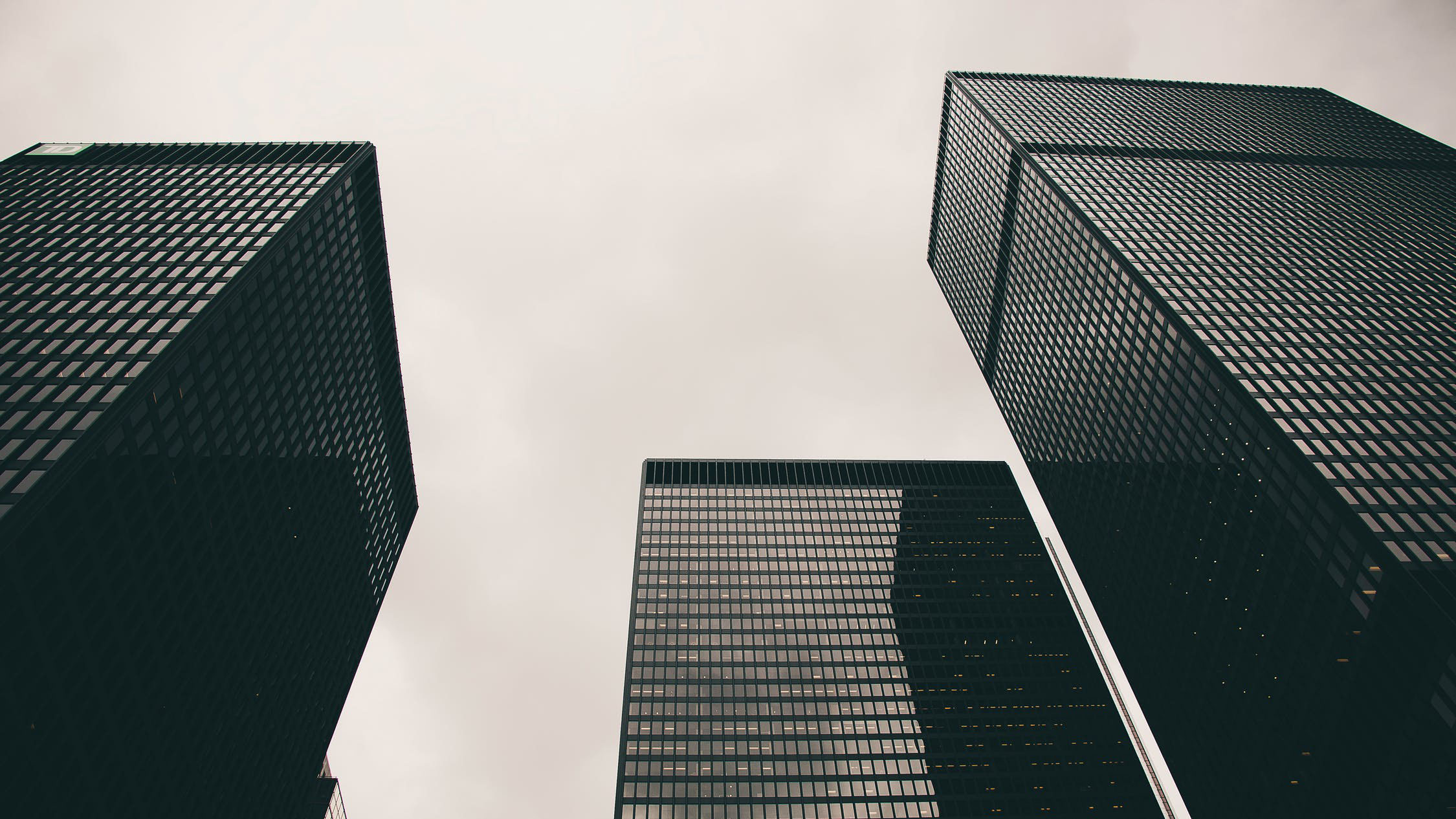 Low-angle black and white photo of three tall buildings