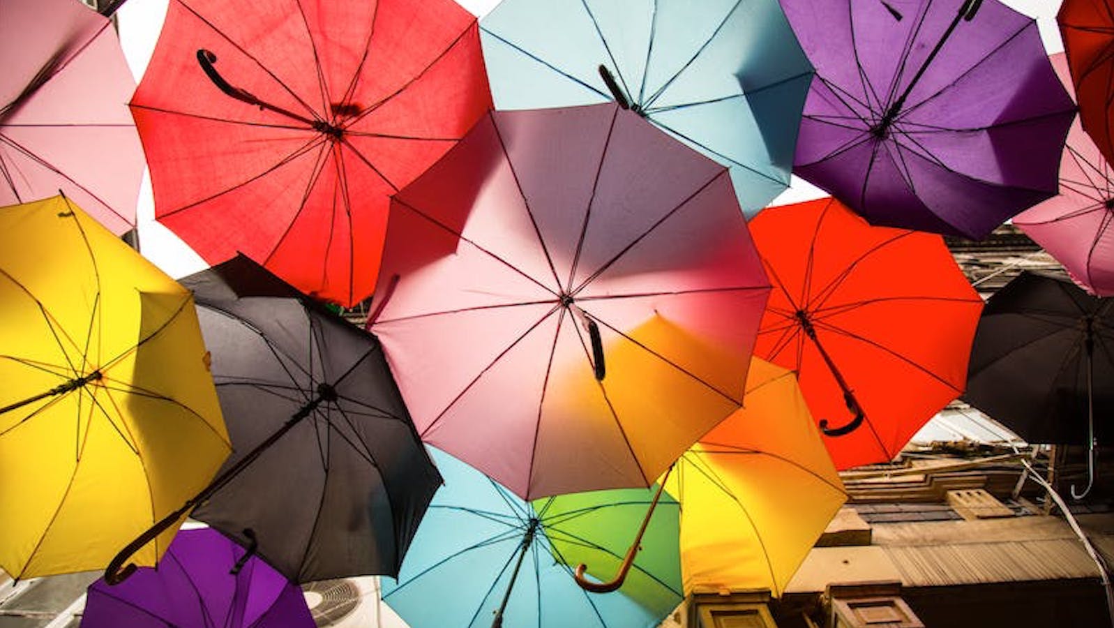 Colorful umbrellas from a below angle