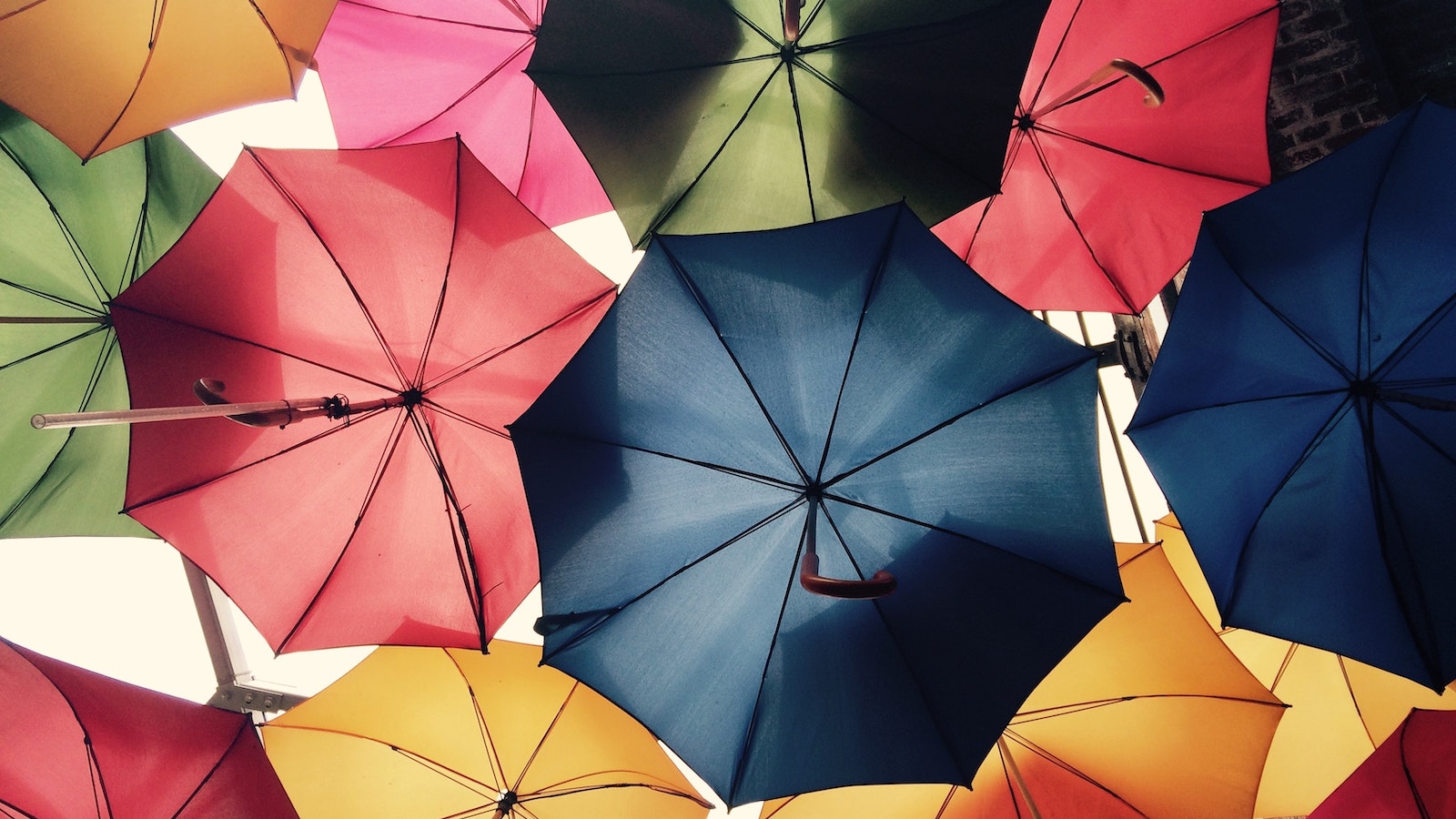 Colorful shot of umbrellas