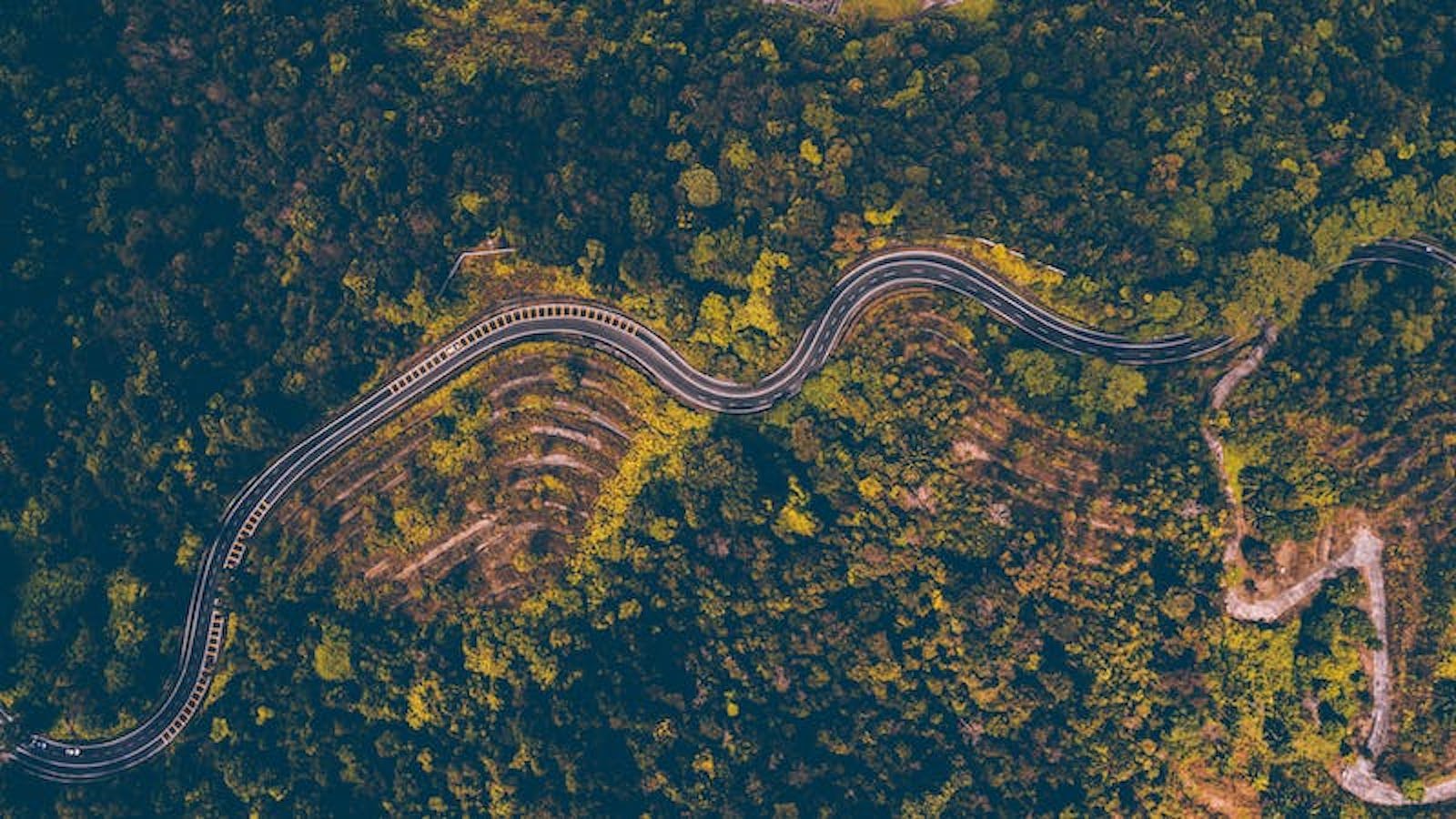 Overhead view of a road in the middle of a forest