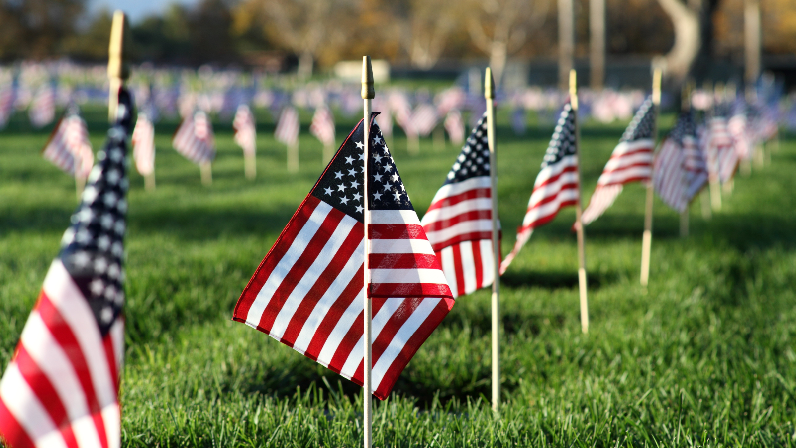 American Flags in a Row