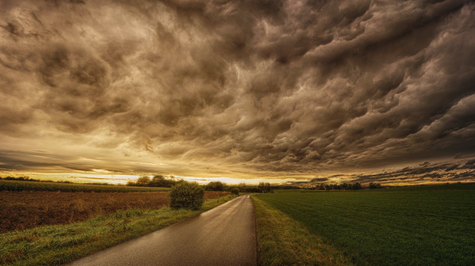 Road In Between Grass Field Under Grey Sky