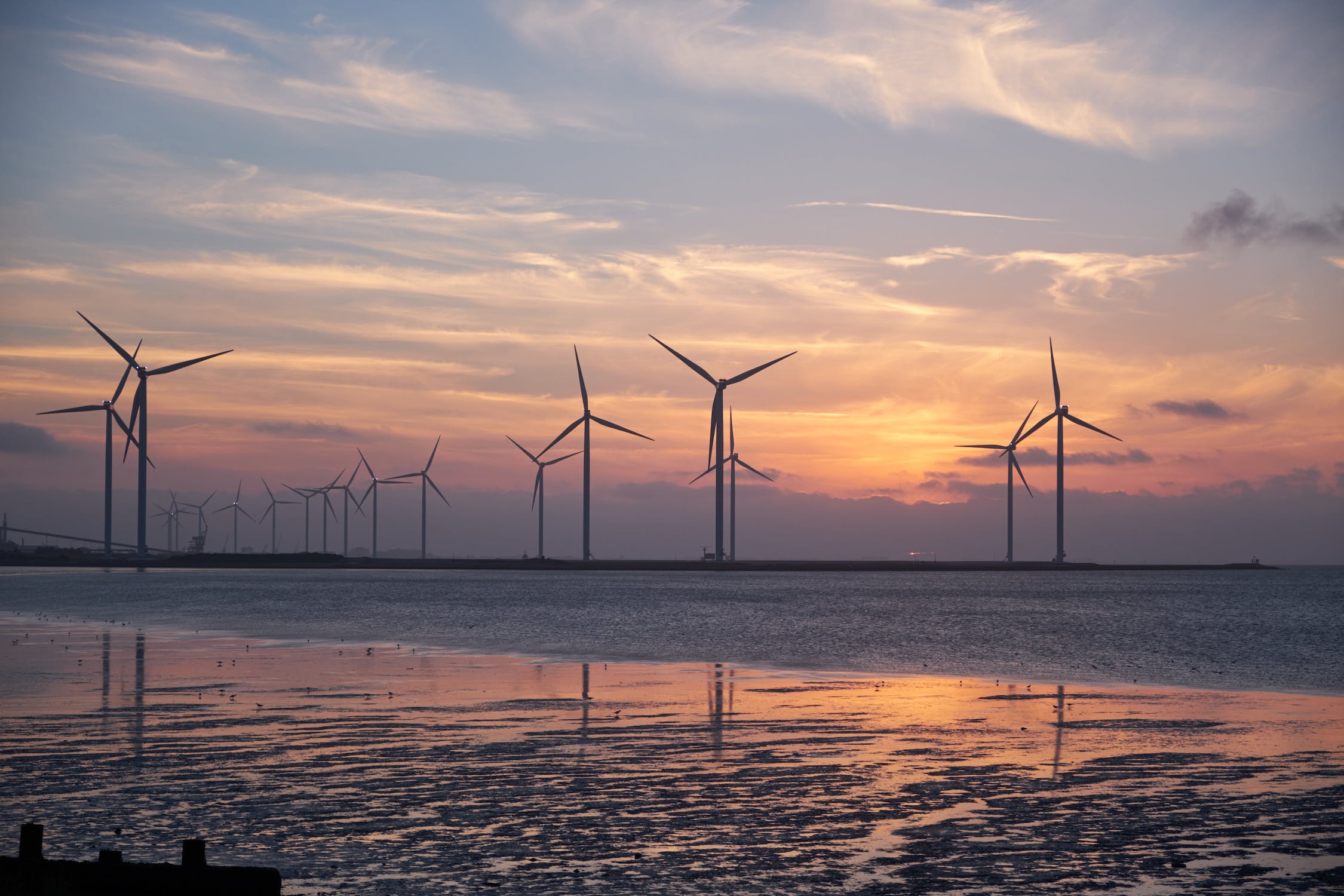 A multitude of windmills from a distance set against a sunset
