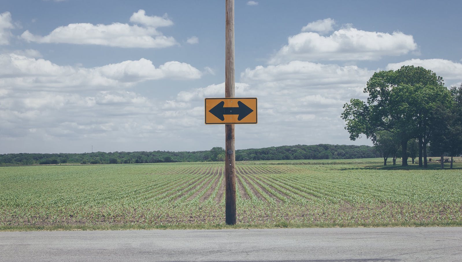 A yellow sign post that shows you can either go right or left on the road, all in front of a green field and blue and cloudy sky