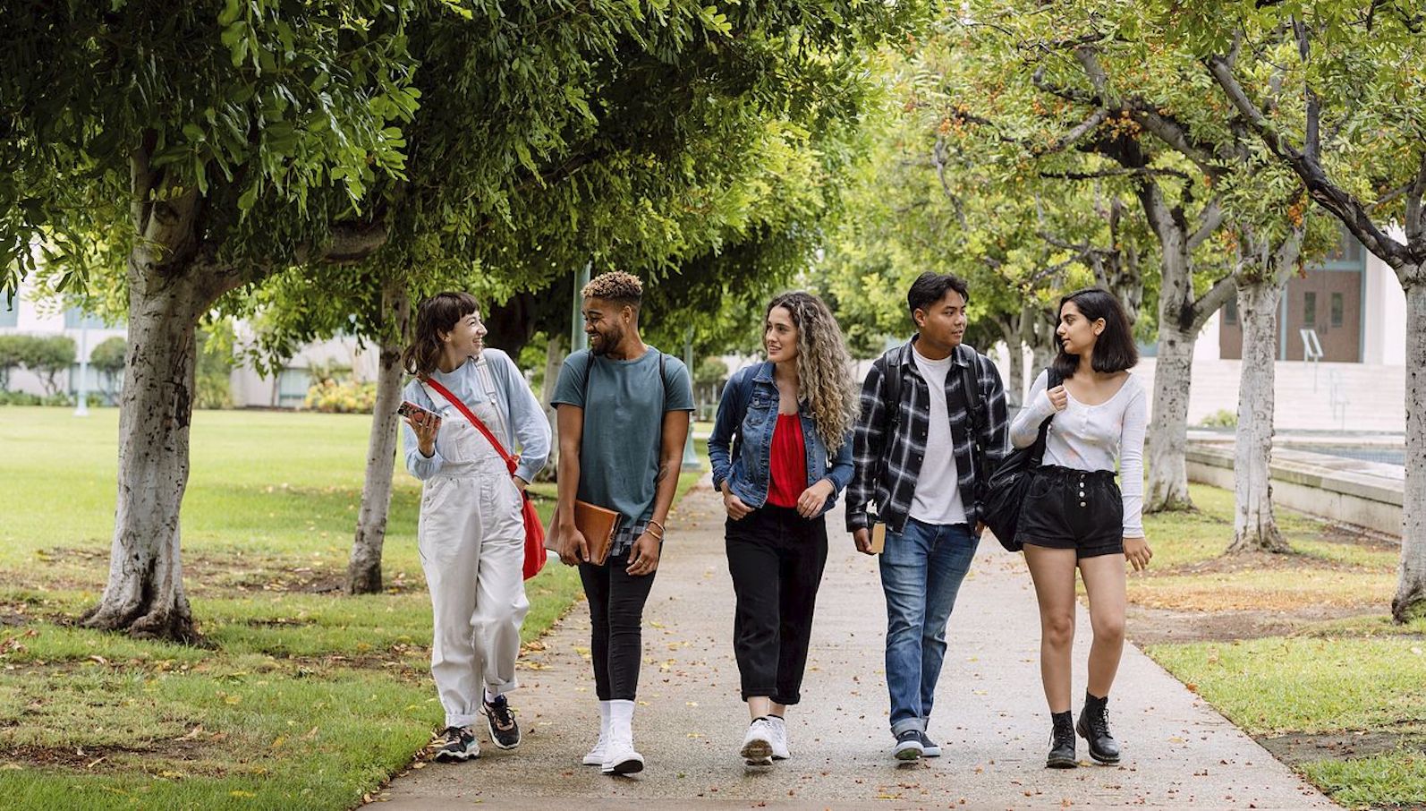Five young people in their late teens or early twenties walking side by side on a concrete path among treets on a college campus