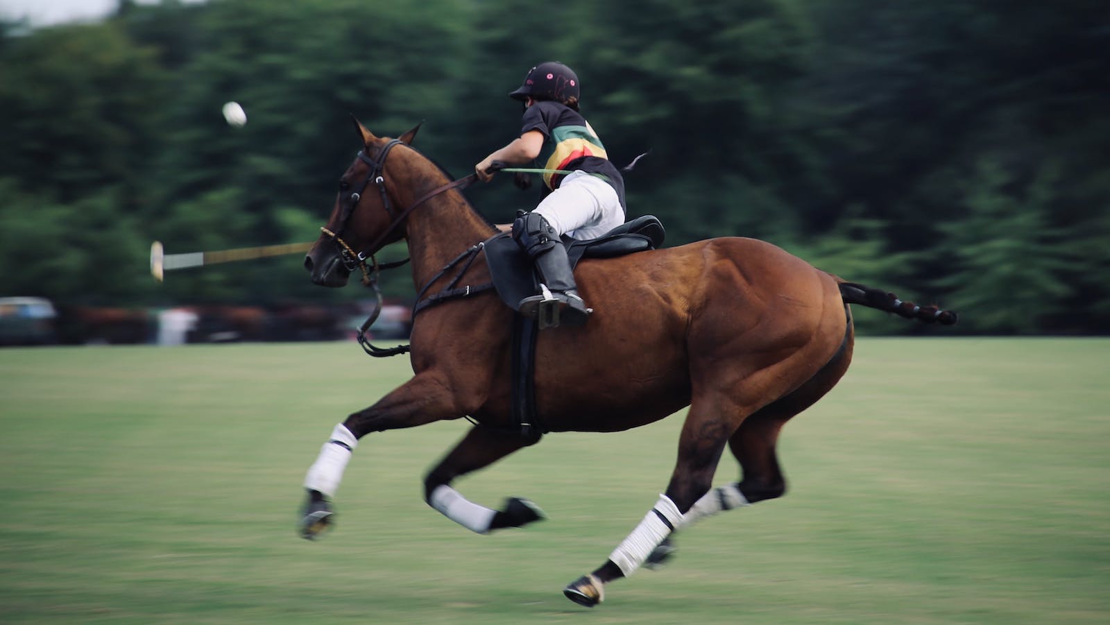 Person playing polo