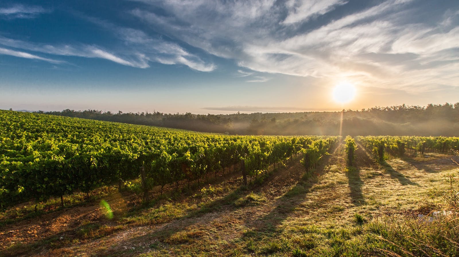 Farm Land during Sunset