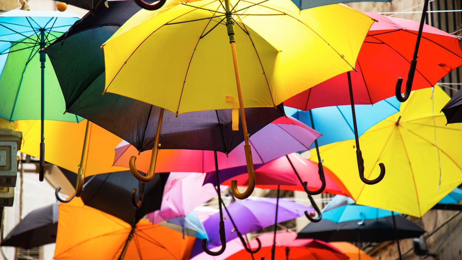 Colorful shot of umbrellas