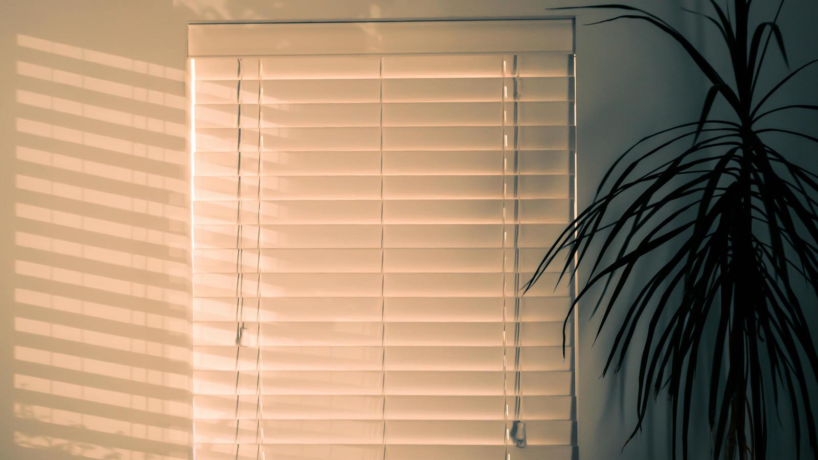 Drawn window blinds