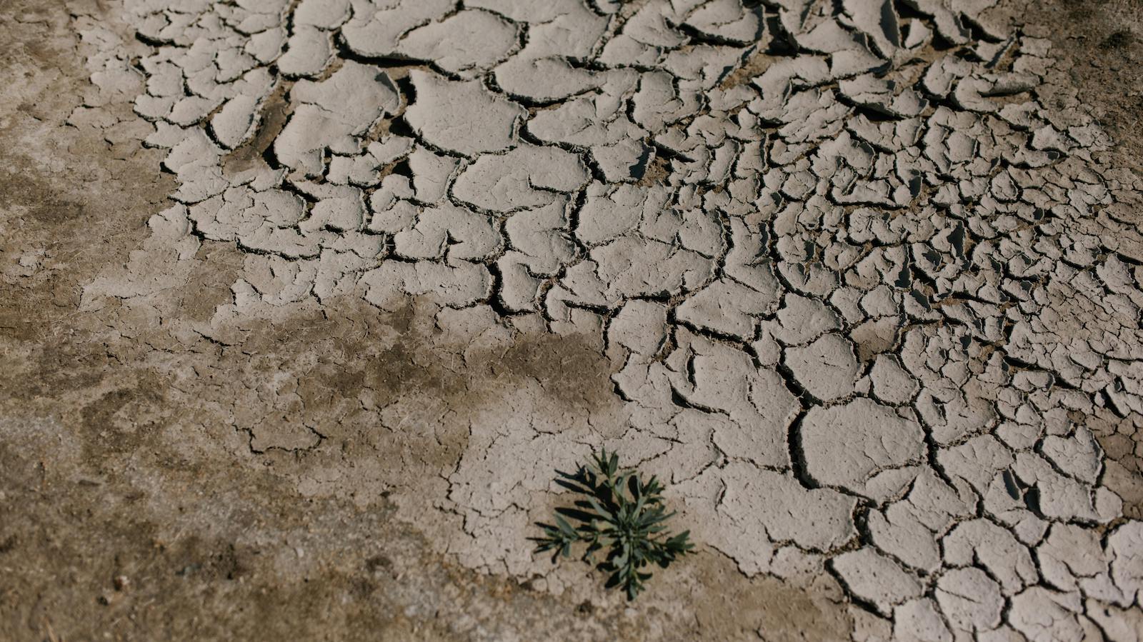 Cracked dry ground in desert area