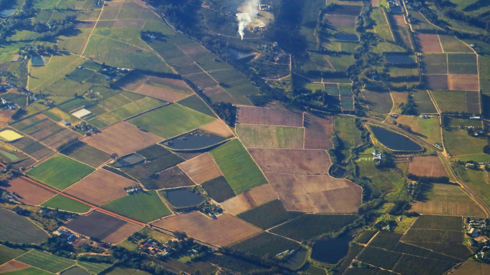 Bird's Eye View Of Farmland