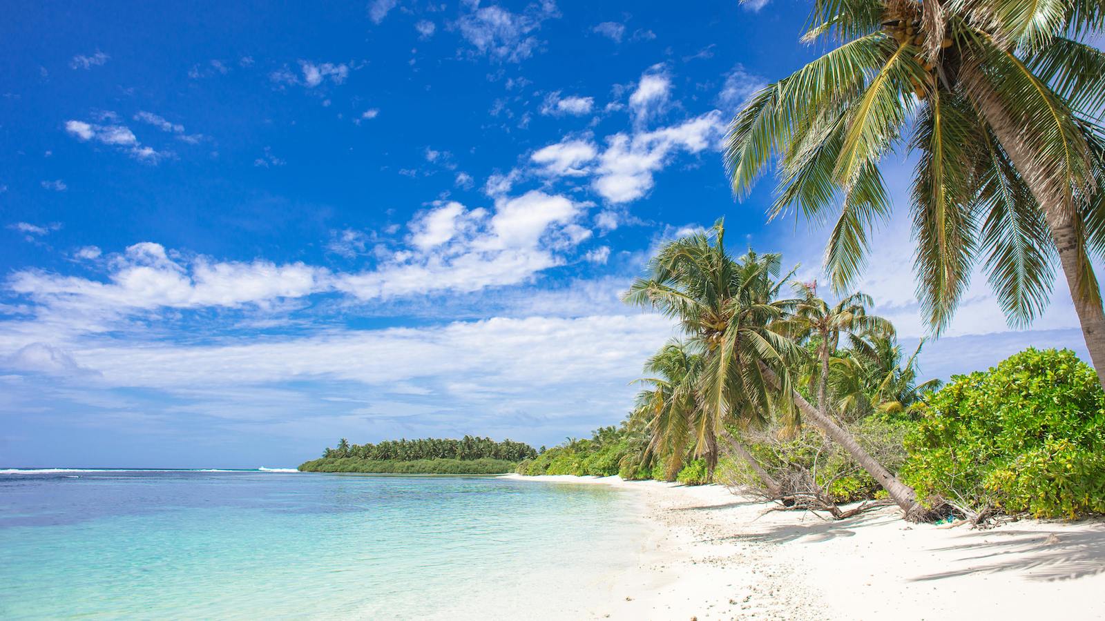 Beach Under White and Blue Clouds