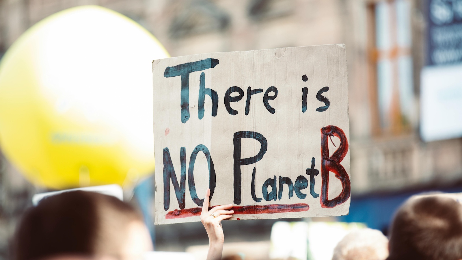 Person holding sign that reads "There is NO Planet B"