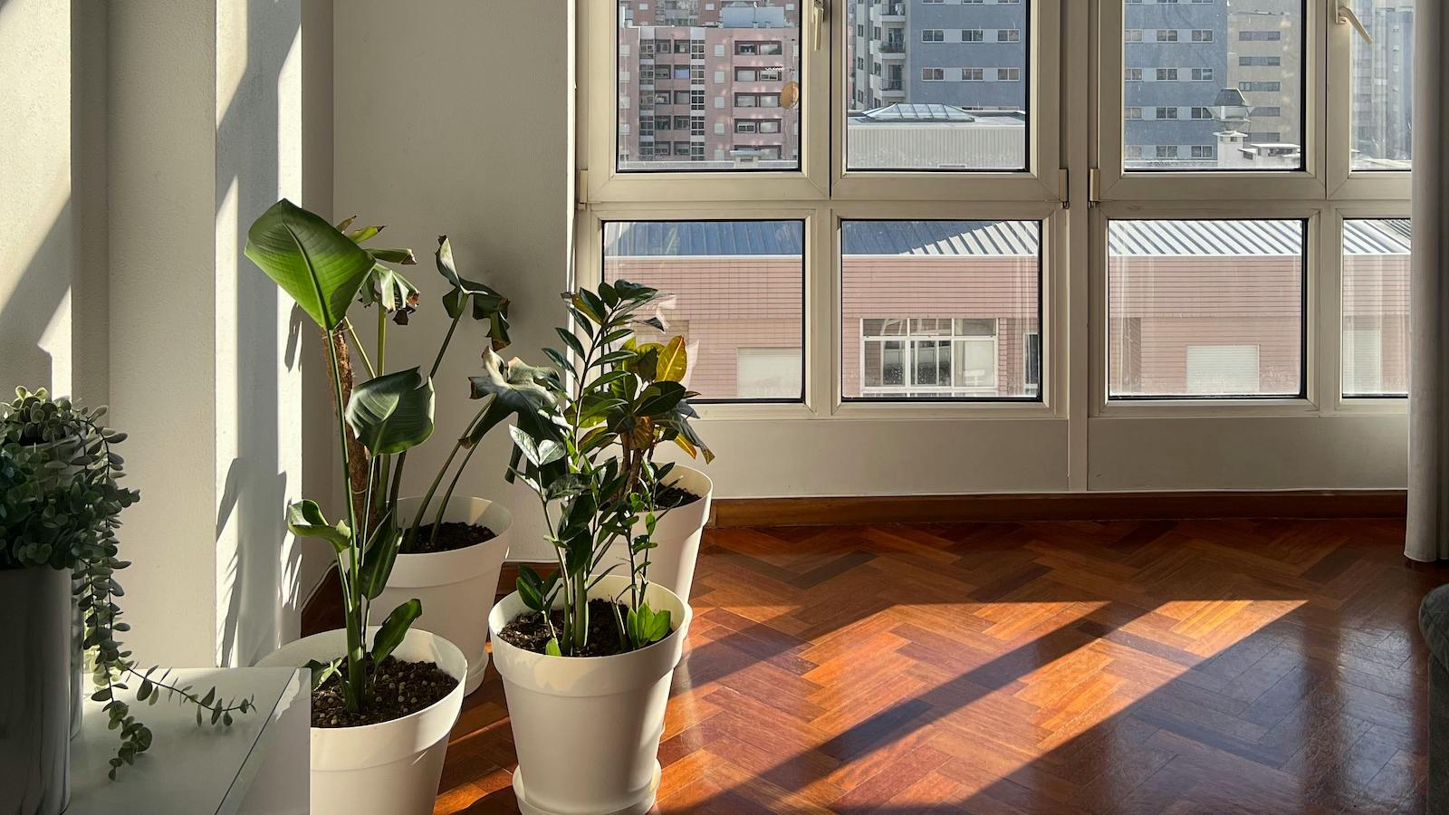 Empty Apartment with Sunlight Coming through a Large Window