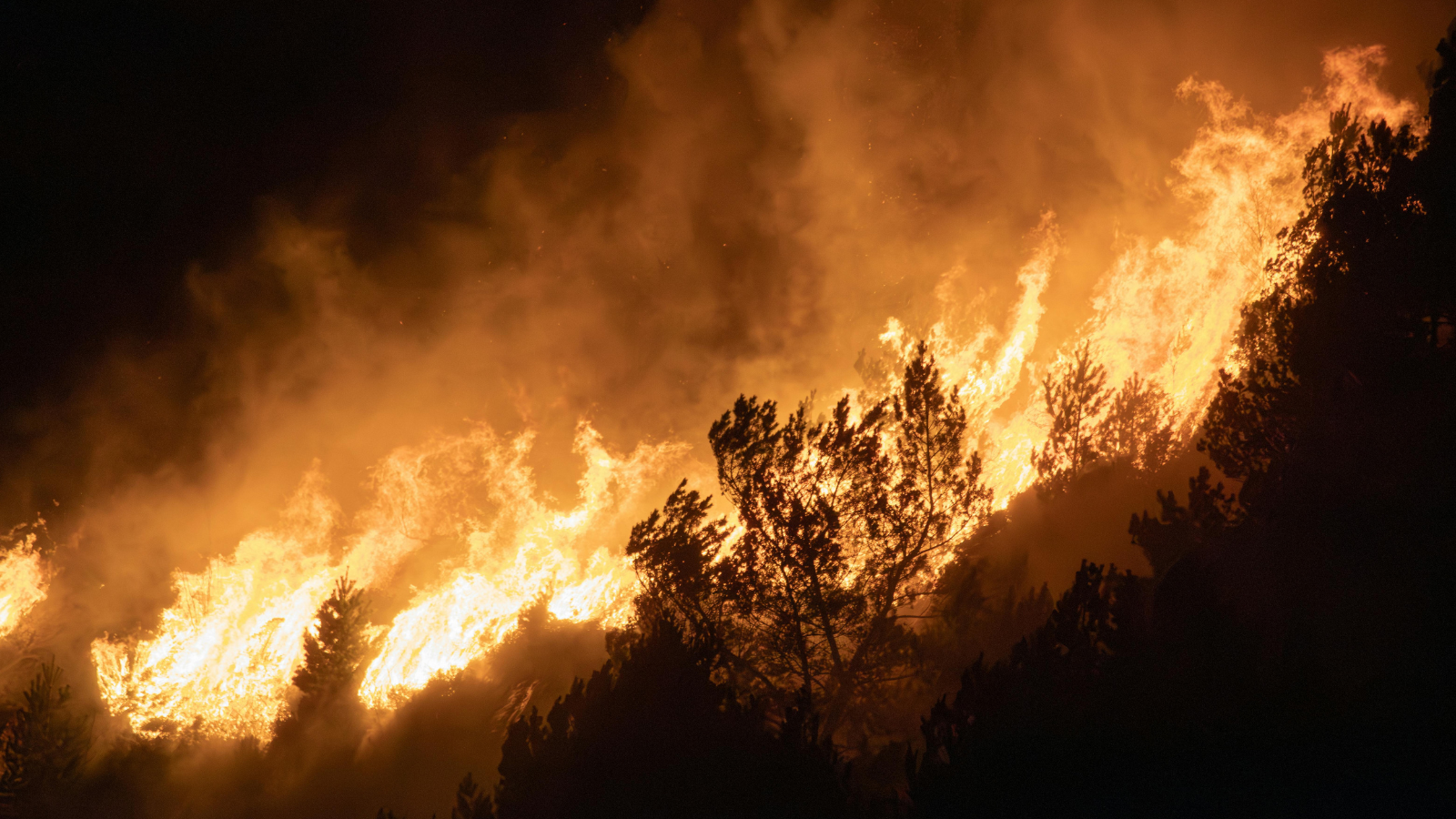 Wildfire burning through mountainside