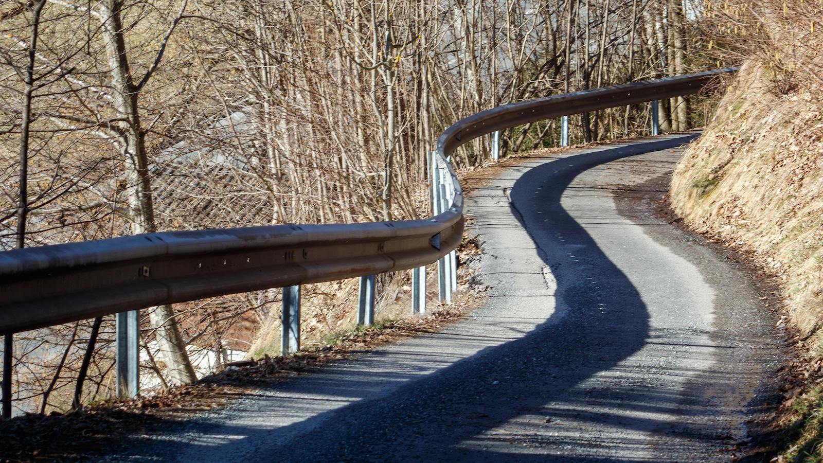 Winding Forest Road in Early Spring