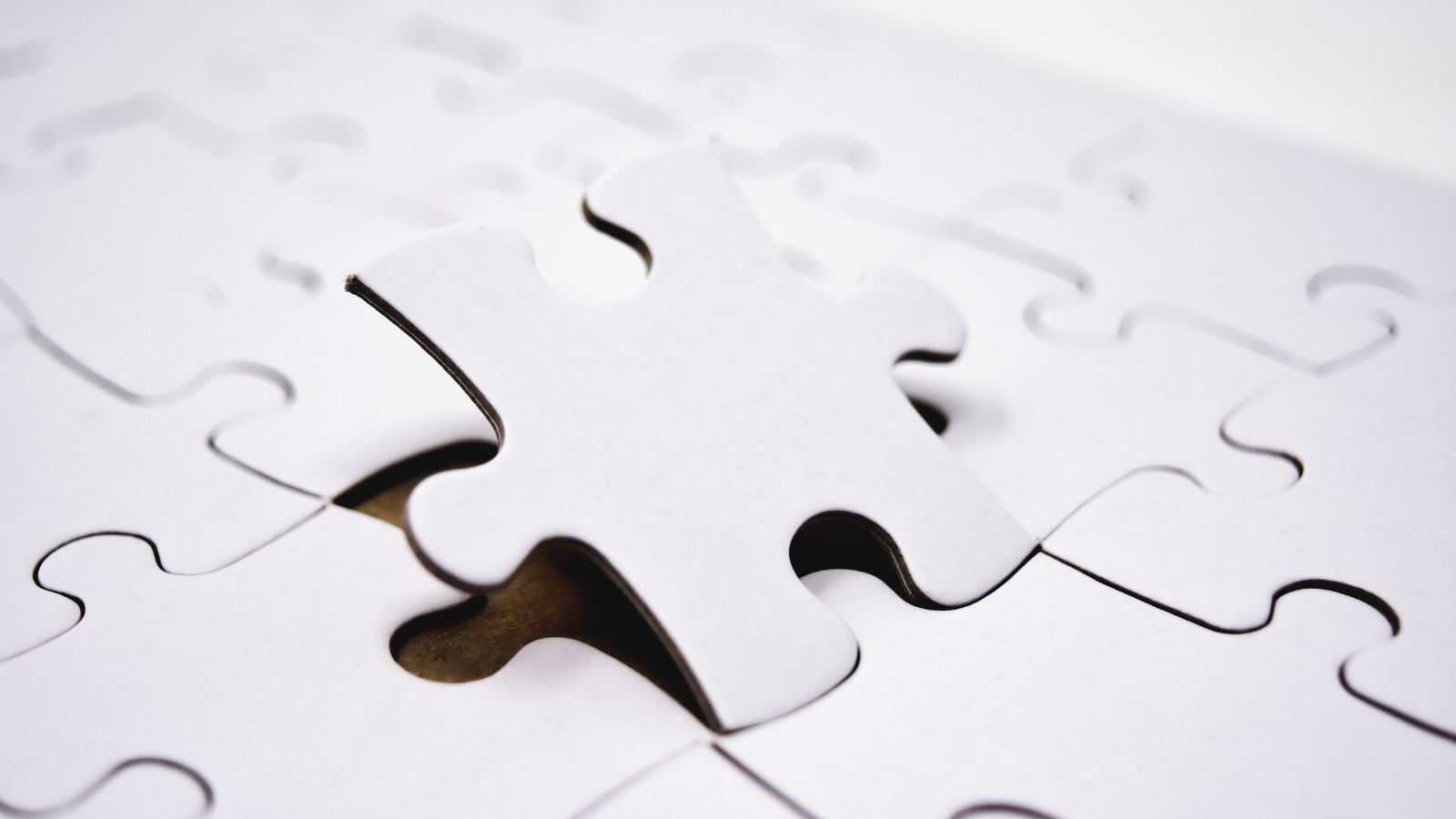 Puzzle Pieces