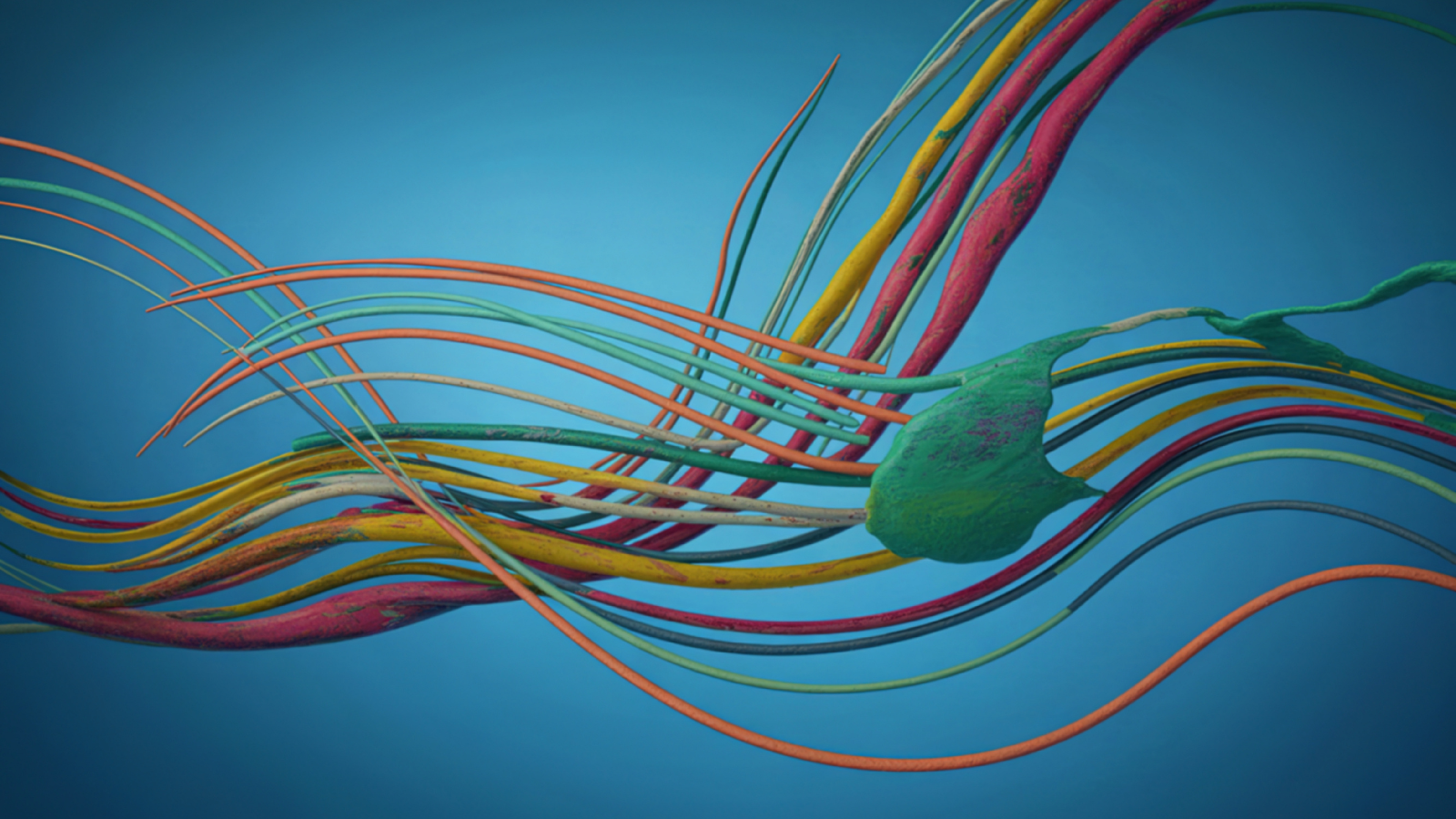 Colorful Lines