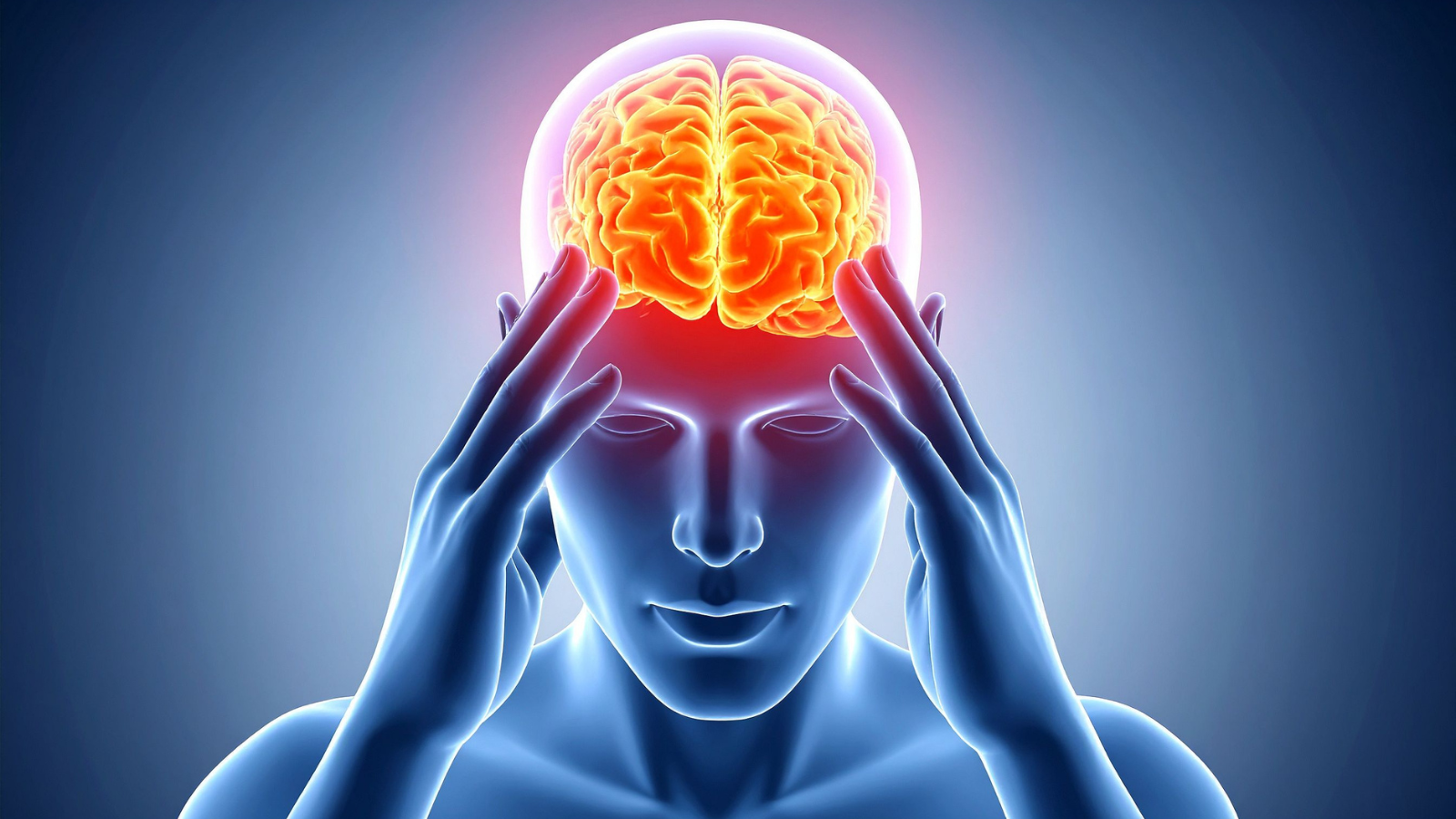 Human Brain