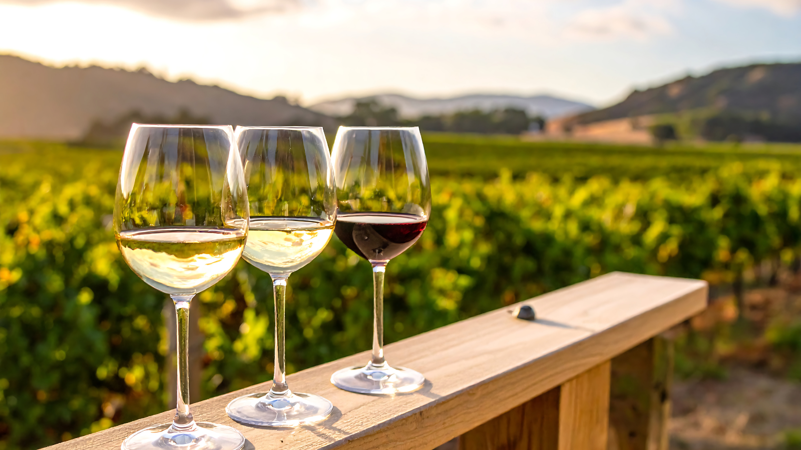 Winery and Vineyard