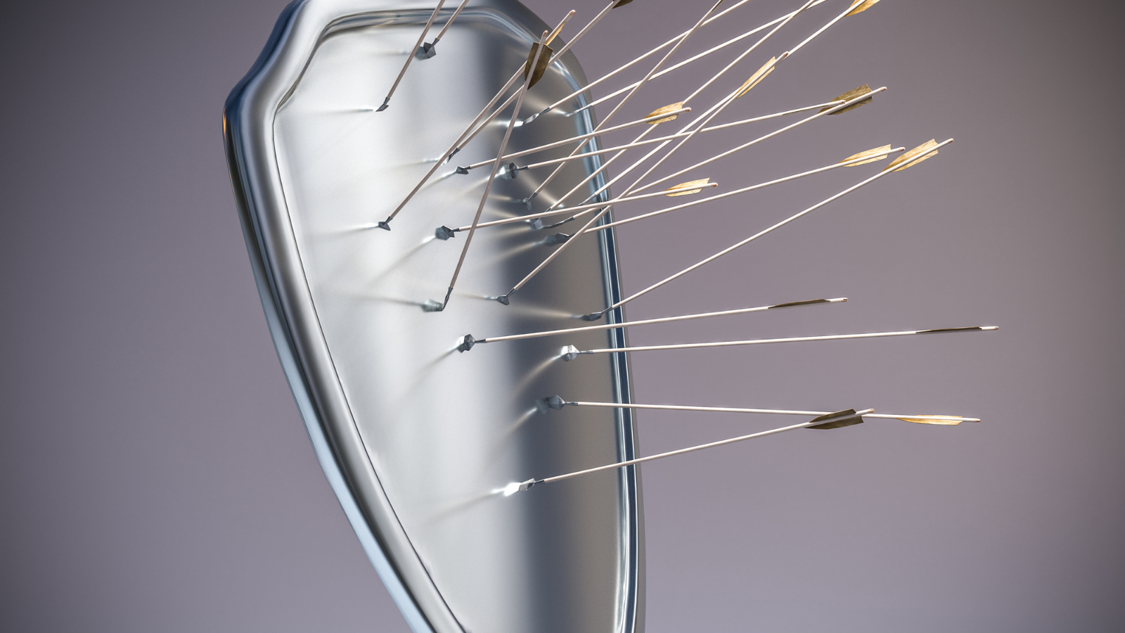 Shield with Arrows stuck in it