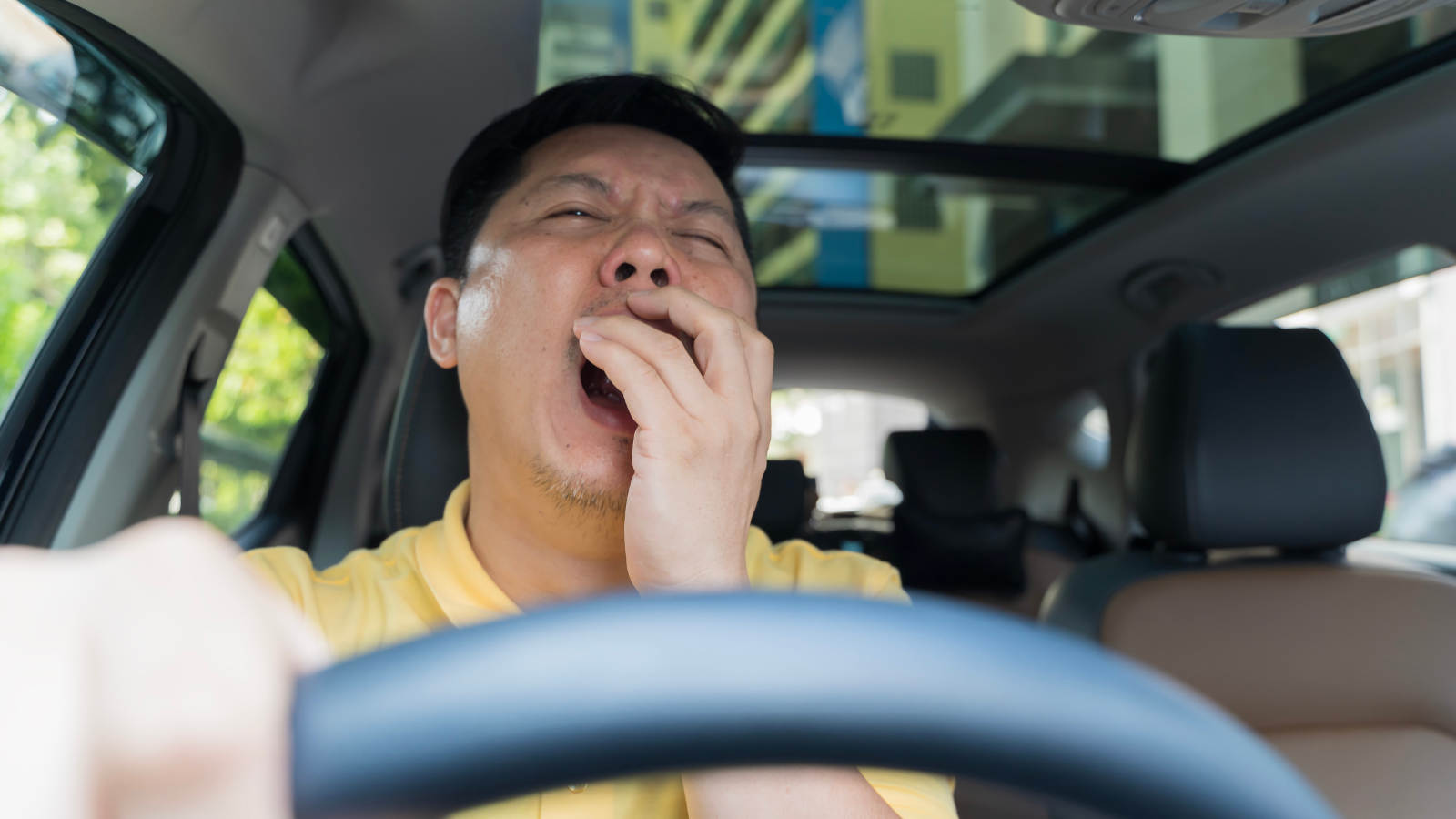Driver Fatigue