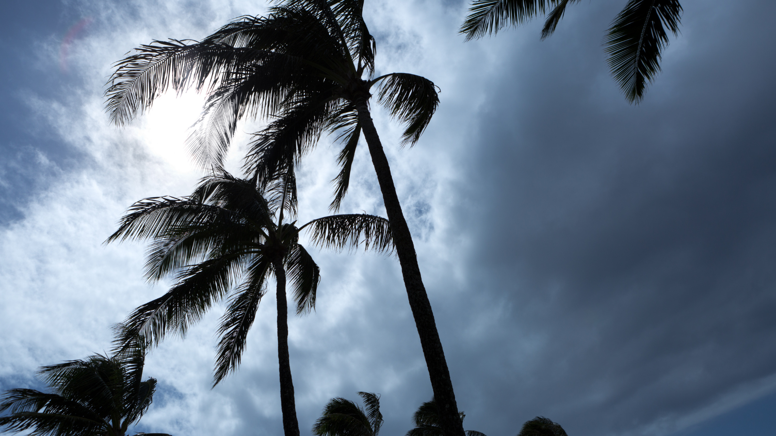 Flood risk in a changing climate: What risk managers need to know