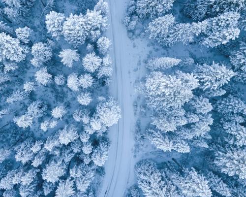 Overhead shot of trees and a road covered in snow