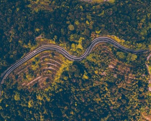 Overhead view of a road in the middle of a forest