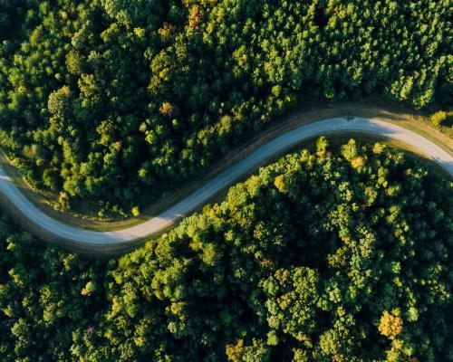 overhead view of a road in the middle of a forest