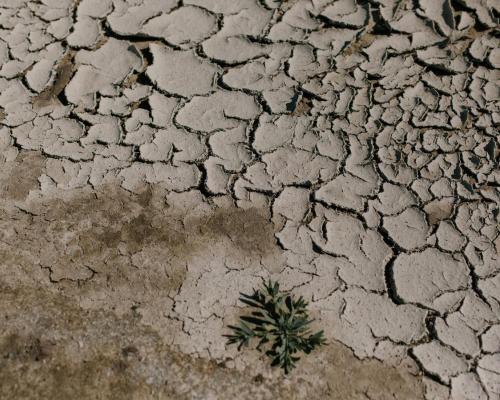 Cracked dry ground in desert area