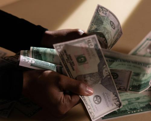 Person Holding Banknotes