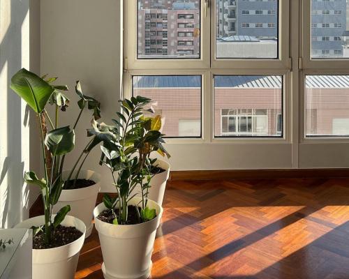 Empty Apartment with Sunlight Coming through a Large Window