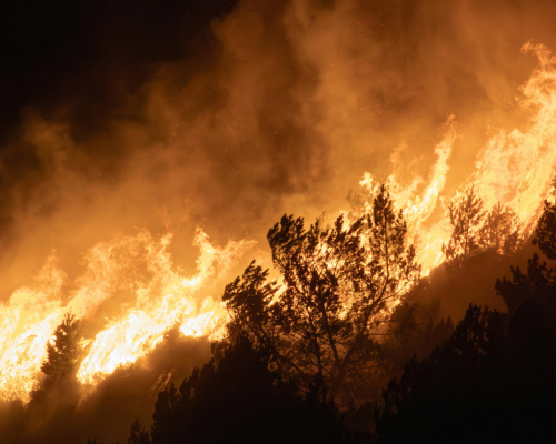 Wildfire burning through mountainside