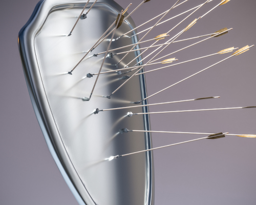 Shield with Arrows stuck in it
