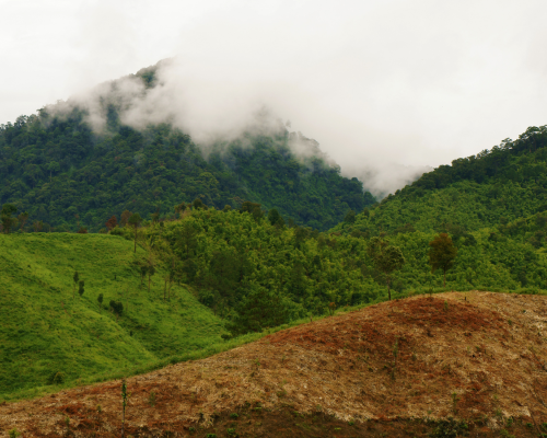 Environment