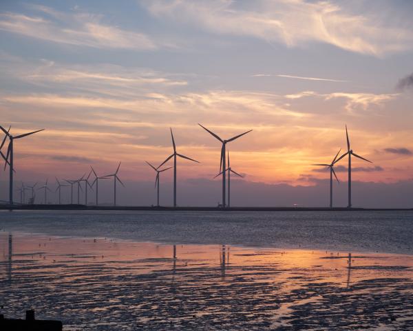 A multitude of windmills from a distance set against a sunset