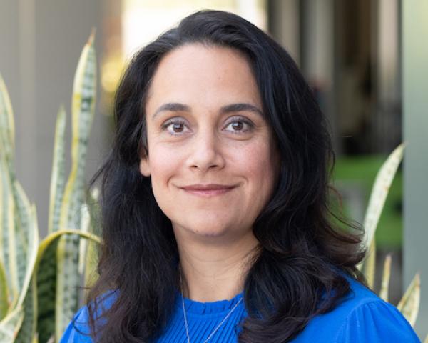 Profile picture for user NazyFouladirad