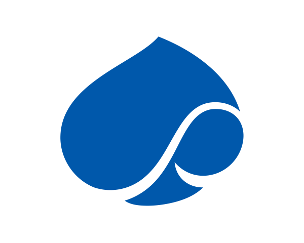 Profile picture for user Capgemini