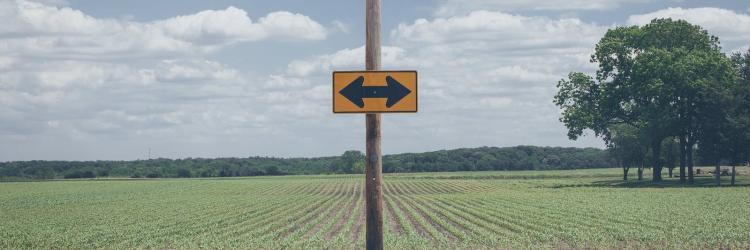 A yellow sign post that shows you can either go right or left on the road, all in front of a green field and blue and cloudy sky