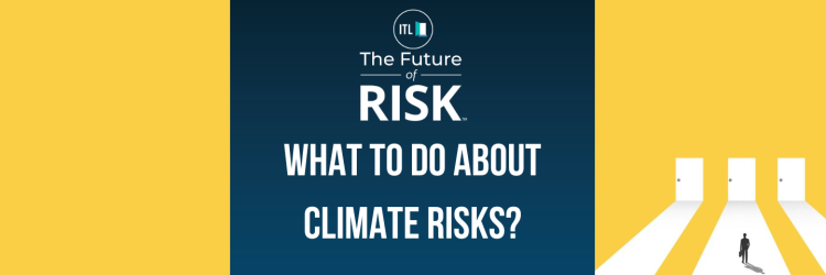 What to Do About Climate Risks - Future of Risk