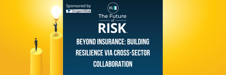Beyond Insurance: Building Resilience Via Cross-Sector Collaboration ...