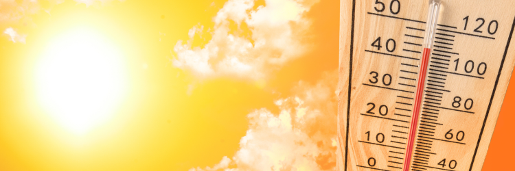 Yellow Sun and Sky with a Thermometer Showing High Temperatures