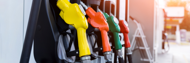 Oil