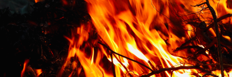 Wildfire