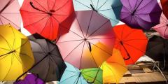 Colorful umbrellas from a below angle