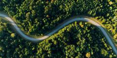 overhead view of a road in the middle of a forest