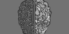Two halves of a brain -- one showing a typical brain and the other showing artificial intelligence -- all against a grey background