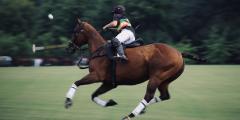 Person playing polo